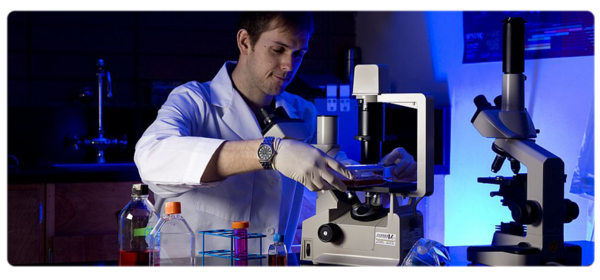 Biologist performs research using a microscope